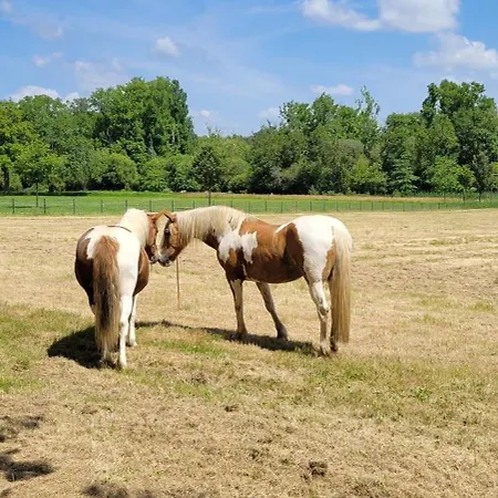 酒店 Maubreuil Seminaires 3*