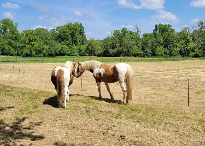 Hotel Maubreuil Séminaires 3*